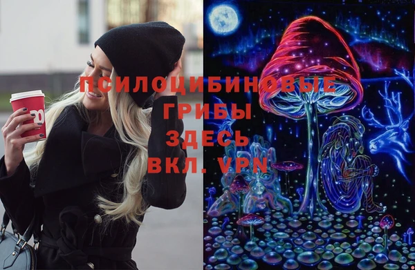 a pvp Алексин
