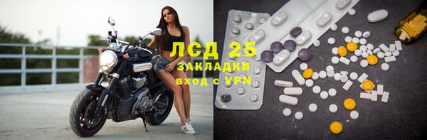 крисы Алзамай